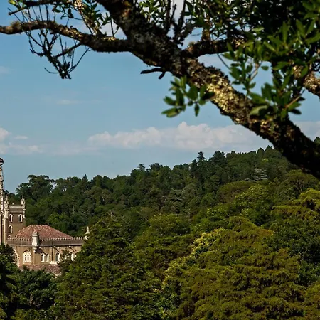 Palace Hotel Do Bussaco-3