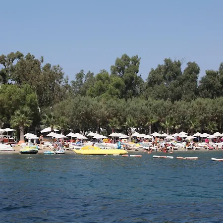 Okaliptus Otel-2