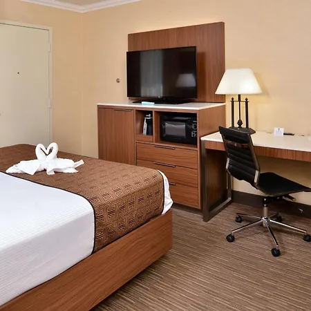 Best Western Hollywood Plaza Hotel - Walk Of Fame Film City La-2