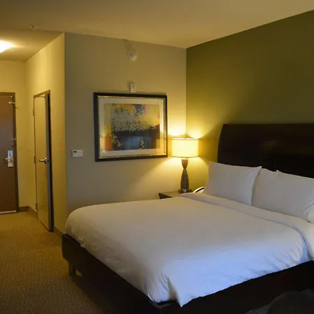Hilton Garden Inn Houston-Pearland-3