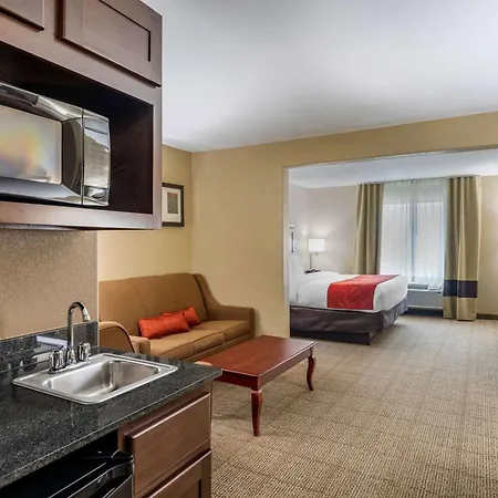Comfort Suites Ennis-3