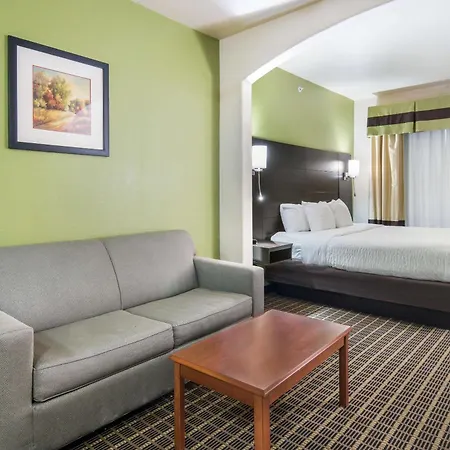 Clarion Inn & Suites Weatherford South-3