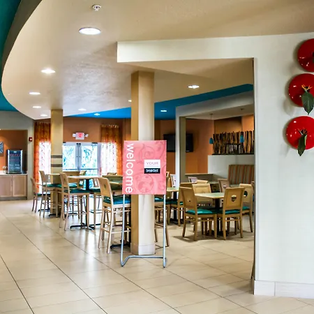 Hampton Inn By Hilton Tampa Fairgrounds Casino-3