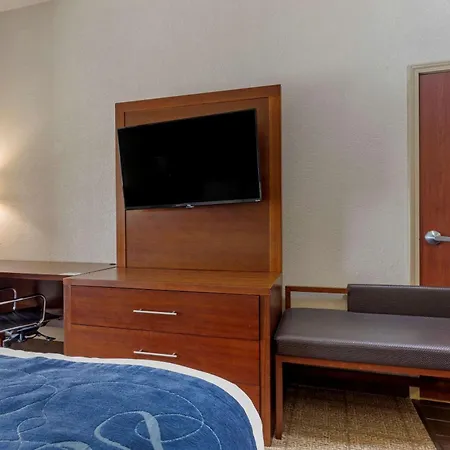 Comfort Suites Gainesville-3