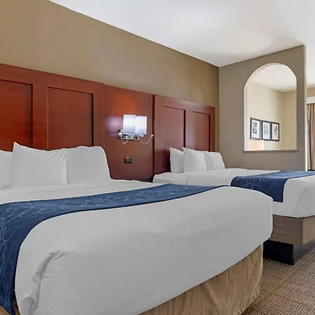 Comfort Suites Gainesville-2