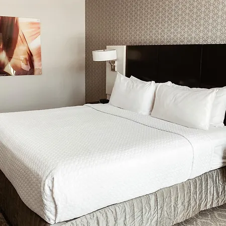 Crowne Plaza Chicago Sw - Burr Ridge By Ihg-2