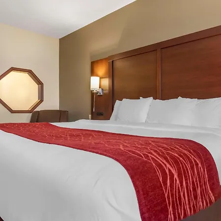 Comfort Inn & Suites Streetsboro - Kent-2