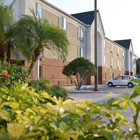 Sonesta Simply Suites Clearwater St Petersburg-2