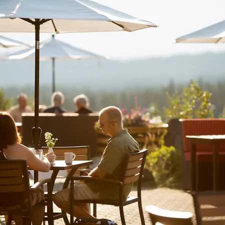The Juniper Hotel & Bistro-2