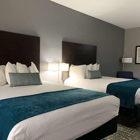 Best Western Plus Olive Branch Hotel & Suites-3