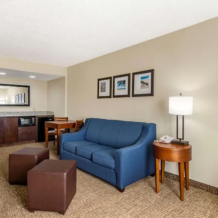 Comfort Inn & Suites St Pete - Clearwater International Airport-3