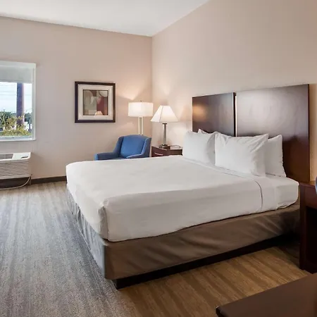 Best Western Tampa-3