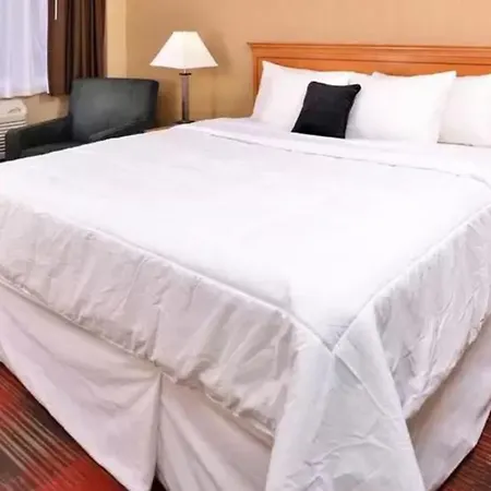 Quality Inn & Suites Airport-2