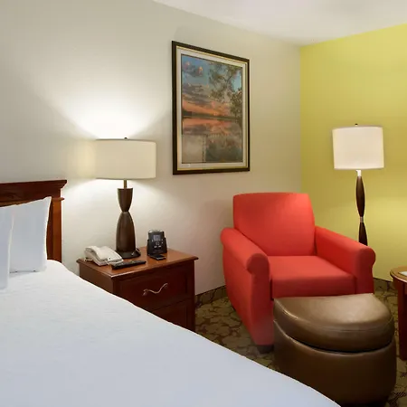 Hilton Garden Inn Lafayette/Cajundome-3