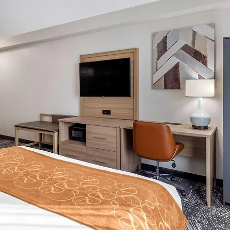 Comfort Suites Anderson-Clemson-3