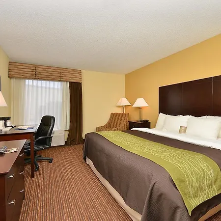 Comfort Inn & Suites-2