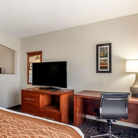 Comfort Inn & Suites Lees Summit - Kansas City-3