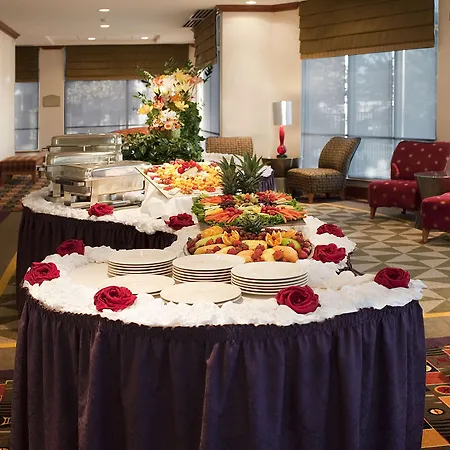 Hilton Garden Inn Dfw Airport South-3