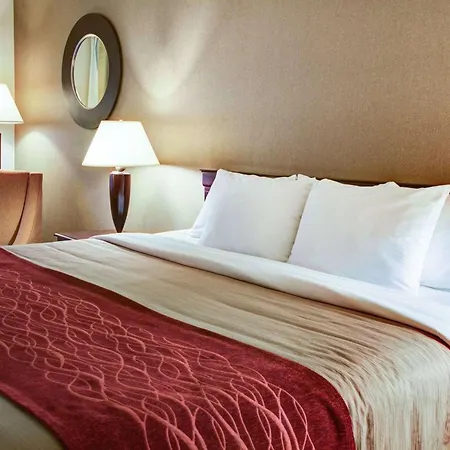 Quality Inn Florence-2