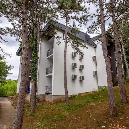 Hotel Omorika-3