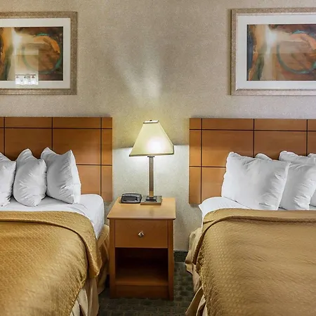 Quality Inn At Collins Road - Cedar Rapids-2