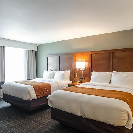 Comfort Suites Loveland-3