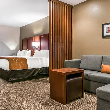 Comfort Suites Florence - Cincinnati South-3