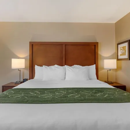 Comfort Inn & Suites Schenectady - Scotia-3