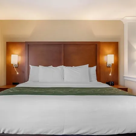 Comfort Inn & Suites Schenectady - Scotia-2