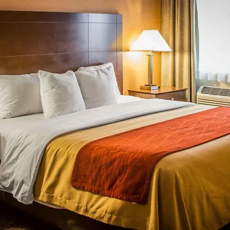 Quality Inn & Suites Port Huron-2