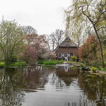 De Geheime Tuin - Boshuis-2