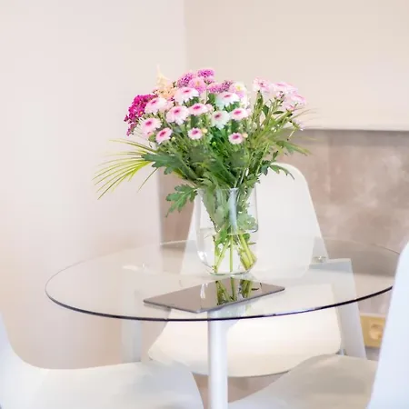Luxurious Penthouse Newly Build Just 7-Minutes From Rotterdam Cs City App3-3