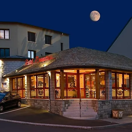 Hôtel Restaurant Prunières-2