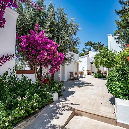 Manzara Boutique Hotel - Adults Only-2