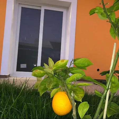 Orange Guest House-2