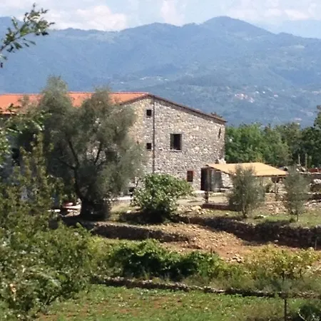 B&B Oca Nera Lerici-3