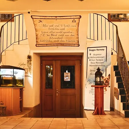 Berghotel Steiger - Pfotenurlaub-2