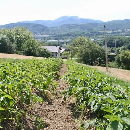 Caserio en Zona Rural Istilla-3