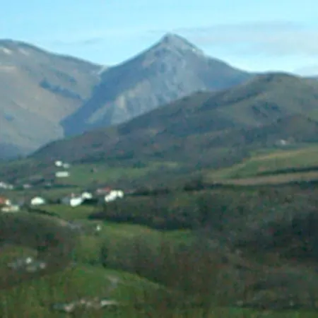 La Coquille Napoléon-2