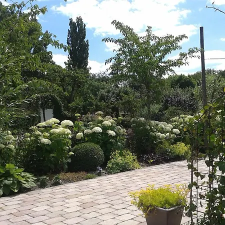 Bed And Breakfast Rodenberg-2