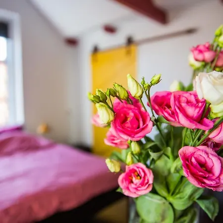 Pension B&B Pluk-3