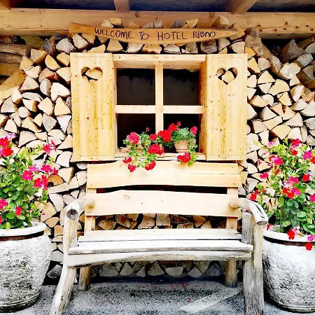 Ribno Alpine Hotel-2