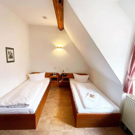 Hotel Brauhaus Wiesenmühle-2