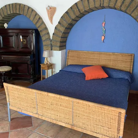 Cactus b&b Le casette di Marilena-3