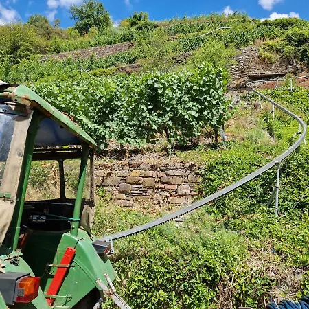 Weingut Haxel-2