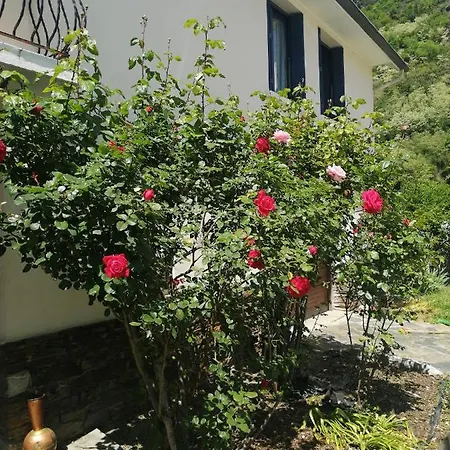 Les Rosiers-3