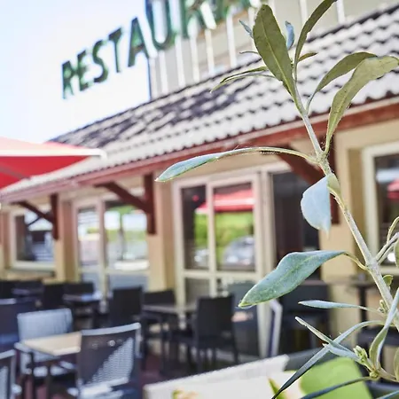 Logis Hotel Restaurant Bagatelle - 51530 Dizy-3