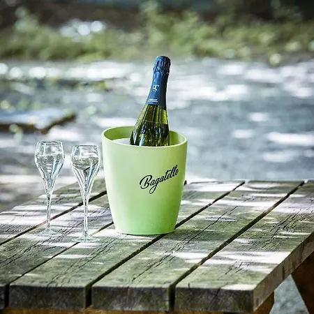 Logis Hotel Restaurant Bagatelle - 51530 Dizy-2