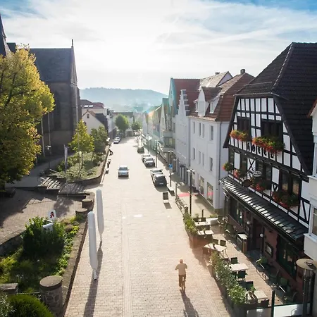 Hotel zum Braunen Hirschen-3