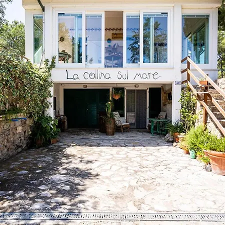 La Collina Sul Mare-2